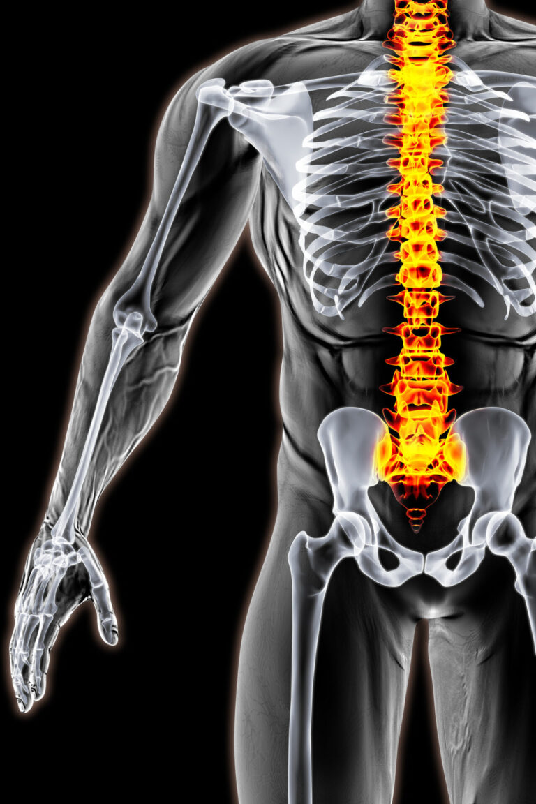 Spinal Cord Injury Lawyer Hackensack, NJ - 3d spine rendering